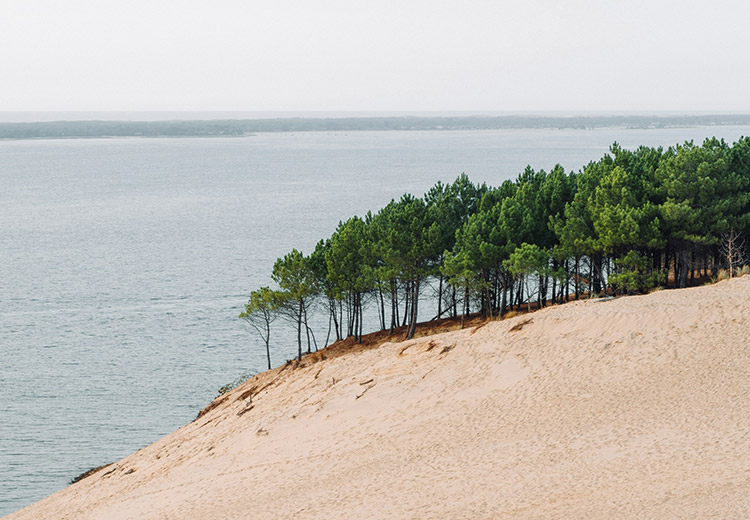 Abonnement bateau à Arcachon : pour qui est-ce vraiment intéressant ?