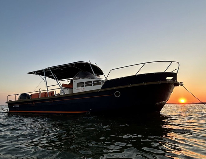 Top des meilleures expériences en bateau  sur le Bassin d’Arcachon