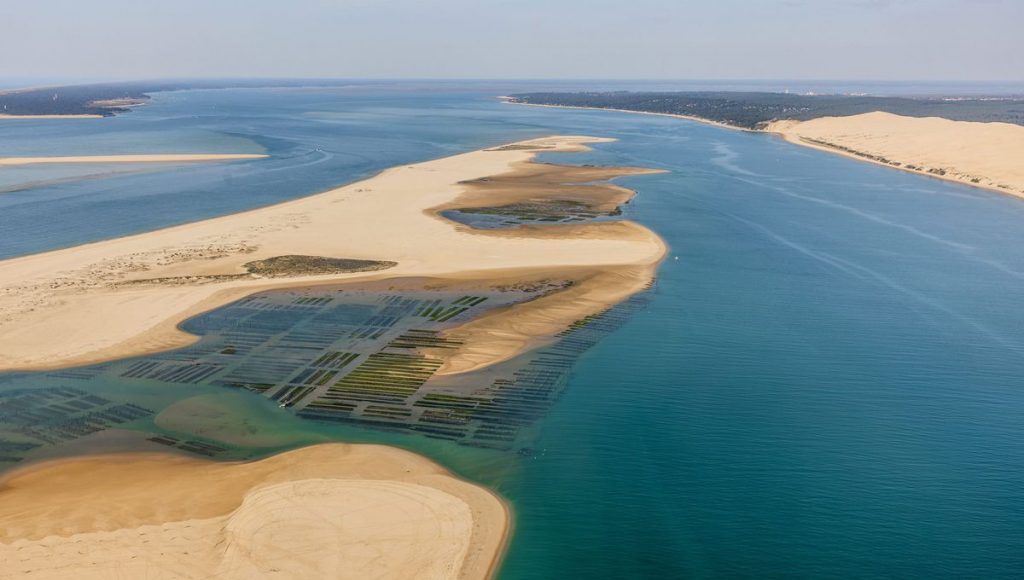 Le Banc d’Arguin va-t-il disparaître ? Découvrez-le avant qu’il ne change à jamais