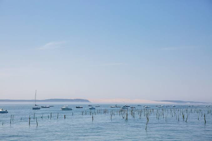 Les parcs à huîtres : un danger à ne pas sous-estimer sur le Bassin d’Arcachon